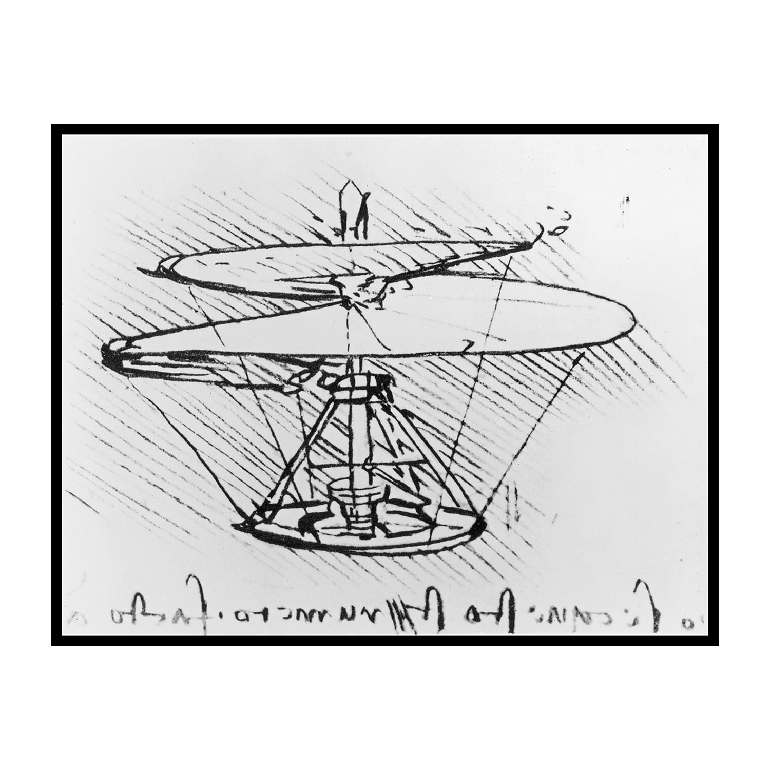 Da Vinci's Flying Machine