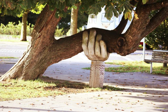 "Hand" holding up tree